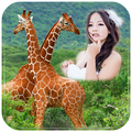Animal Photo Frame