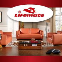 Lifemate Furniture Affiche