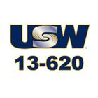 USW BASF Local 13-620 simgesi