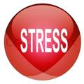 Stress Insider