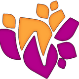 WBDC 2015 icon