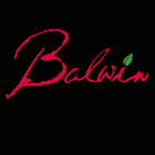 Balwin Properties アイコン