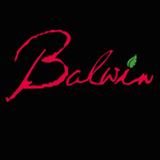 Balwin Properties icono