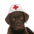 The Canine First Aid Company icon