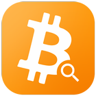 Bitcoin Balance Checker icône