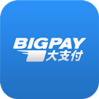 BigPay 大支付 icône