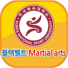 블랙벨트 Martial arts ikona
