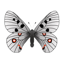 Butterflies of Kyrgyzstan APK