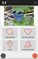 Butterflies of Kyrgyzstan 포스터