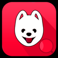 Adopt Buy Dogs Singapore