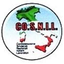 CO.S.N.I.L APK