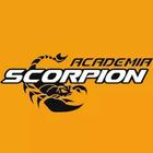 Academia Scorpion icône