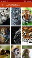 Animal Wallpaper โปสเตอร์