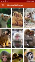 Animal Wallpaper ภาพหน้าจอ 1