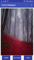 Forest Wallpaper Ekran Görüntüsü 3