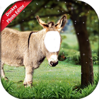 Donkey Photo Editor أيقونة