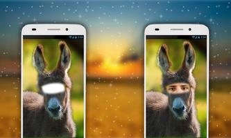 Donkey Photo Editor Affiche