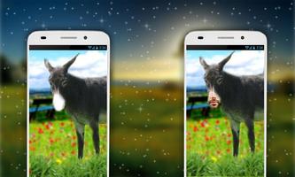 برنامه‌نما Donkey Photo Editor عکس از صفحه