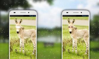 Donkey Photo Editor تصوير الشاشة 2