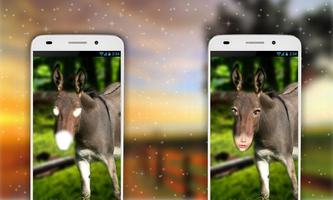 Donkey Photo Editor تصوير الشاشة 3