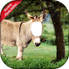 Donkey Photo Editor-icoon