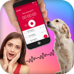 Dog Translator Simulator