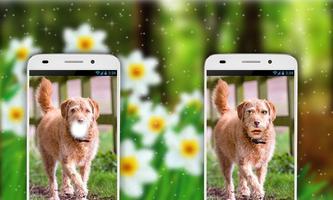 Dog Photo Editor screenshot 3