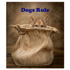 Icona Dogs Rule