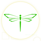 Dragonfly icône
