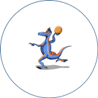 Dodgeball411 icon