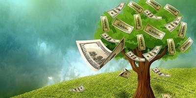 Earn Money Plant Affiche