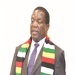 ”President E D Mnangagwa