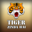 Tiger Is Alive : 10,000 Bullet Shot