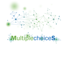 MultiplechoiceS icône