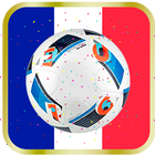 Eurocopa 2016 Live Wallpaper 图标