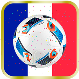 Euro 2016 Live Wallpaper icône