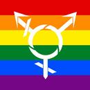 Transgender Dating & Chat APK