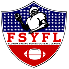 FSYFL Florida ikon