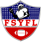 FSYFL Florida icon