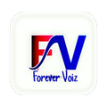FV CALLS