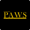 Hyderabad Paws