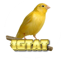 IGTAT