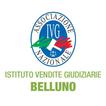 IVG Belluno