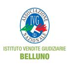 ikon IVG Belluno