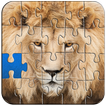 Jigsaw Puzzles