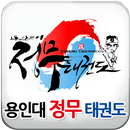 용인대정무태권도 APK