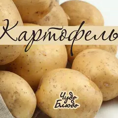download Картофель - кулинария, рецепты APK
