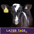 LaZer Tags icon