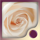 Sexual Intimacy Hypnosis 圖標