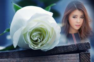 Macro Rose Photo Frame screenshot 3